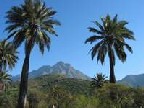 hijuelas las palmas de ocoa